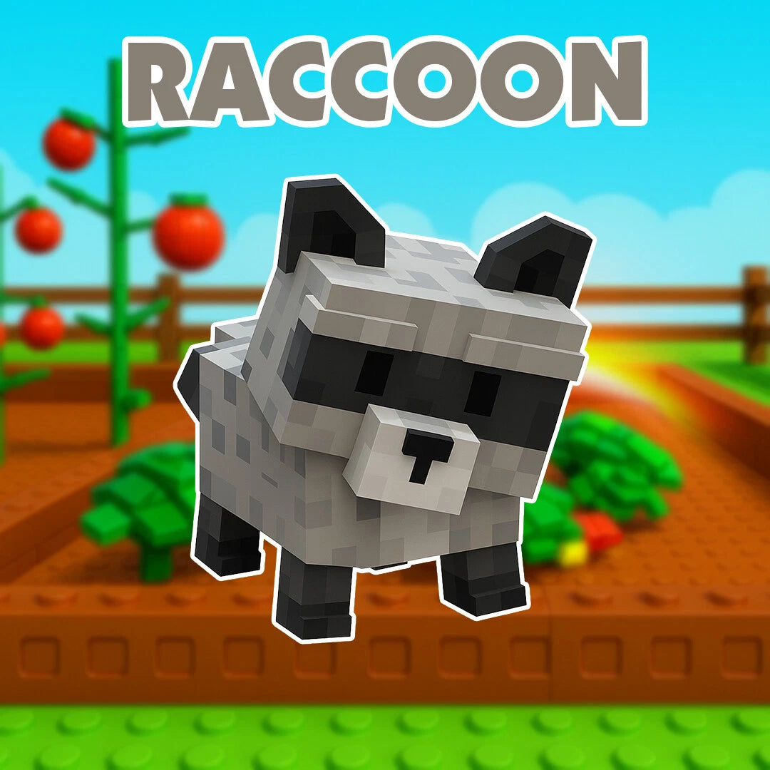 Raccoon Pet