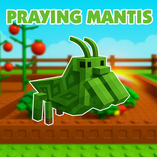 Praying Mantis Pet